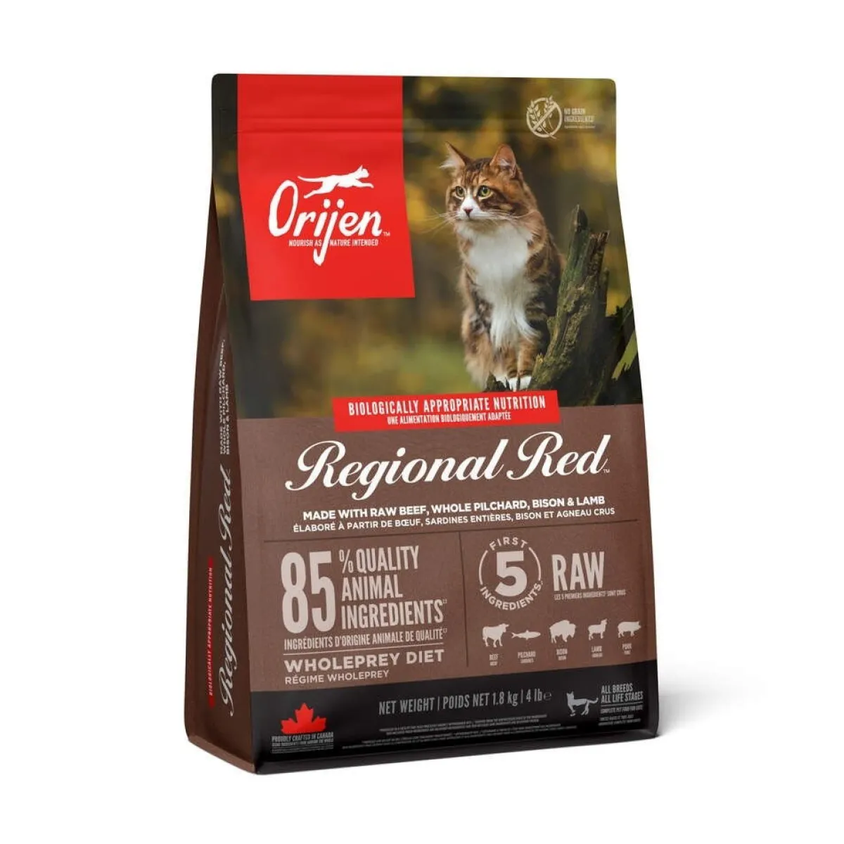 Regional Red Cat>Orijen Hot