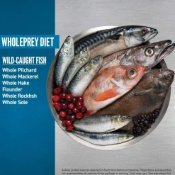 Six Fish>Orijen Online