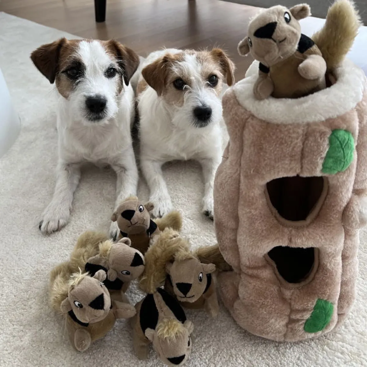 Hide A Squirrel>Outward Hound New