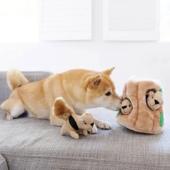 Hide A Squirrel>Outward Hound New