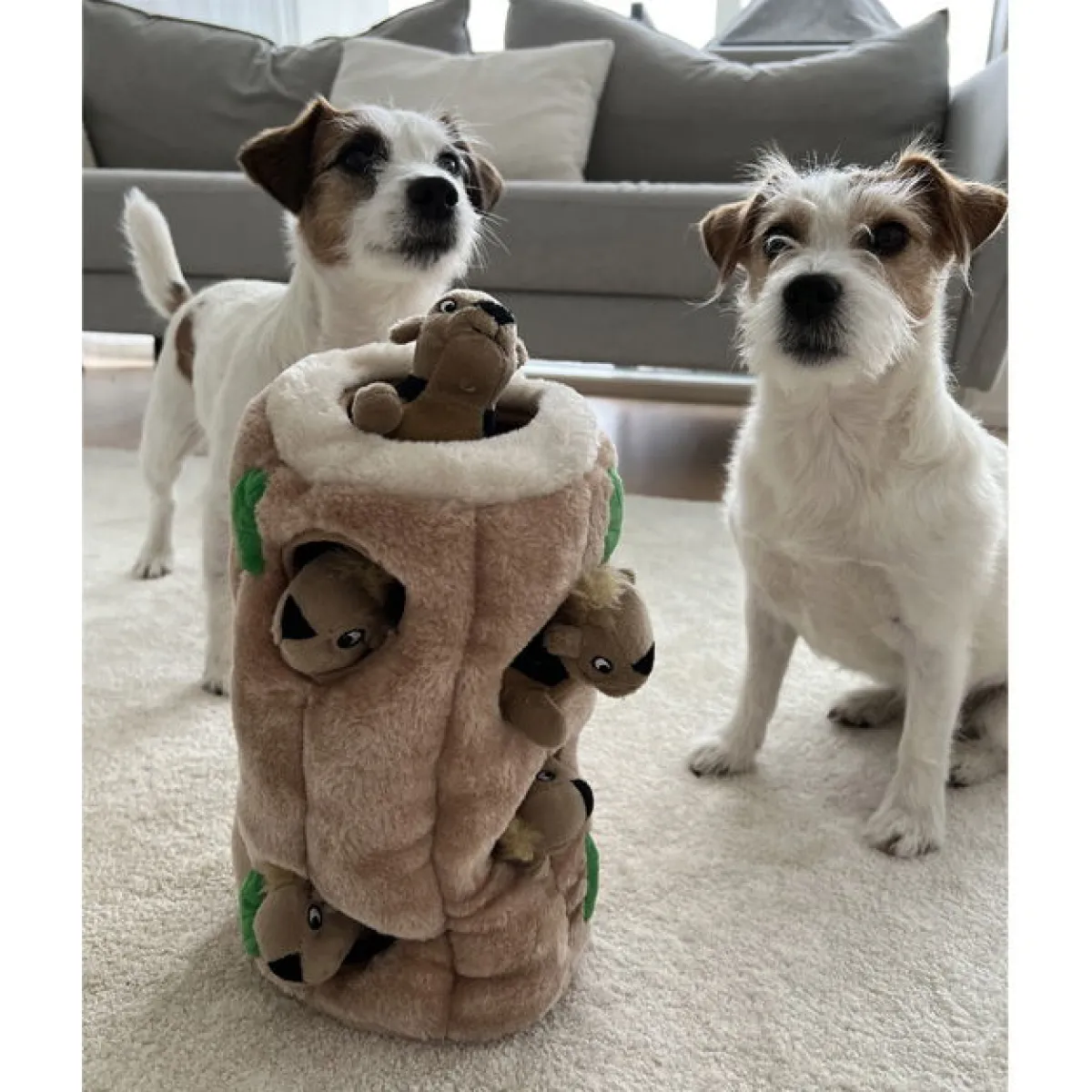 Hide A Squirrel>Outward Hound New