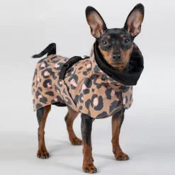 Visibility Raincoat Lite -koiran sadetakki, leo>PAIKKA