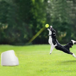 Pallotykki Hyper Fetch Maxi>All For Paws Online