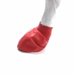 koiran suojatossut, 12 kpl>PawZ Hot