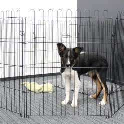 Pentuaitaus Pet Easy>PetEasy Sale