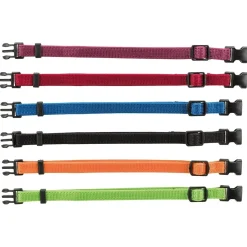 Pentupannat 6 kpl>Trixie Clearance