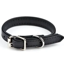 Pentupanta Puppy, musta>Feel Discount