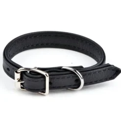 Pentupanta Puppy, musta>Feel Discount