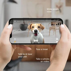 Bites 2 Lite -kamera>Petcube New