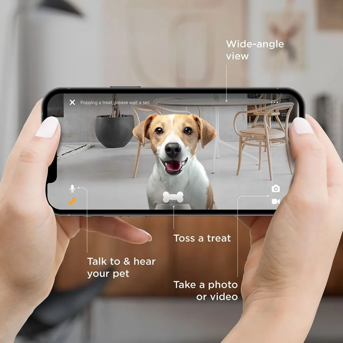 Bites 2 Lite -kamera>Petcube New