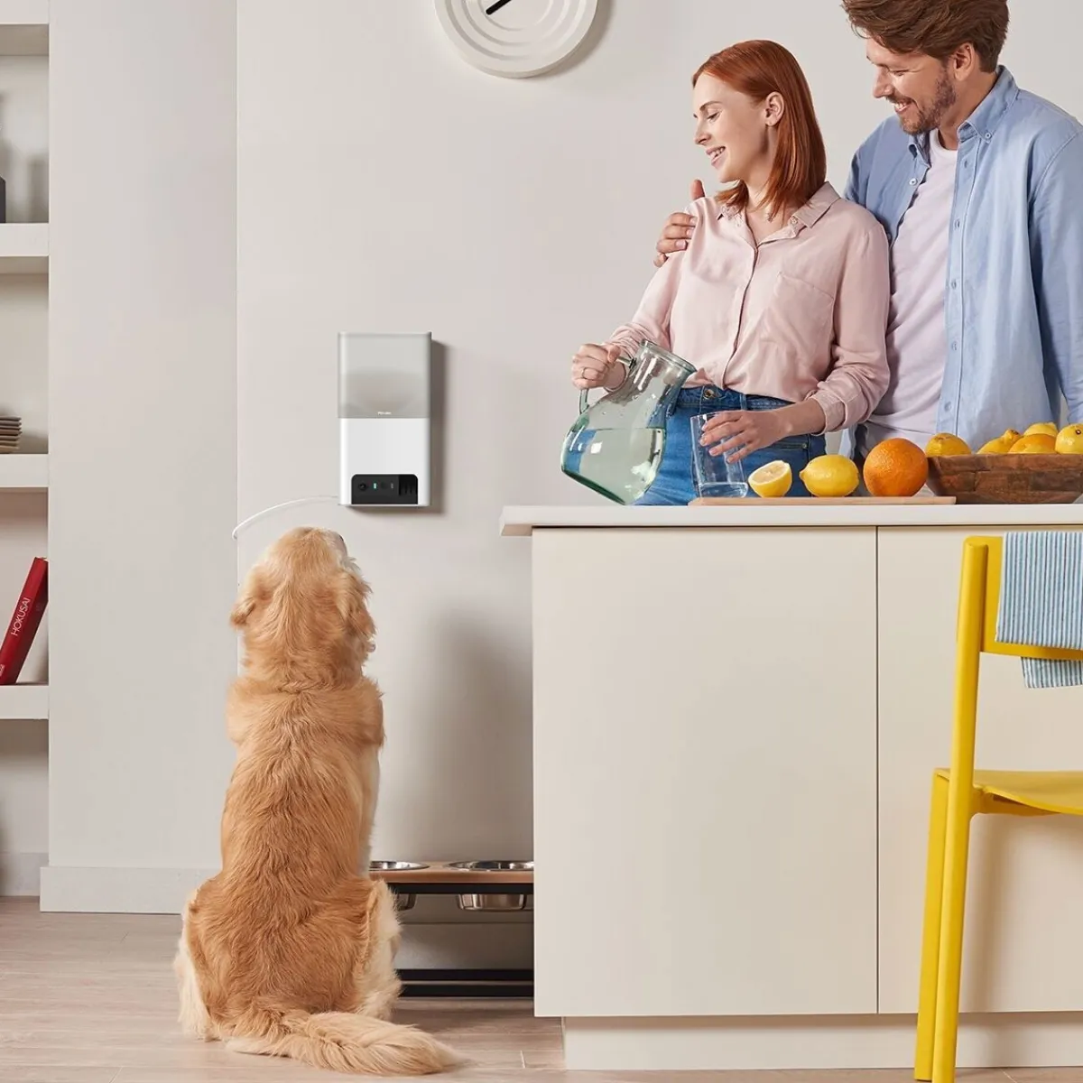 Bites 2 Lite -kamera>Petcube New