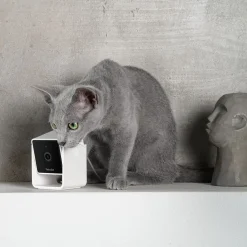 Cam lemmikkikamera kotiin>Petcube Sale