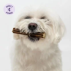 hyönteispohjaiset purutikut>Petgood