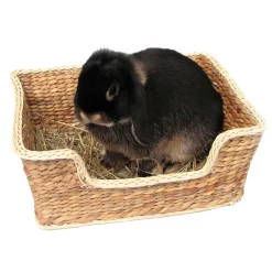 Peti Chill 'n' Snooze>Rosewood Outlet