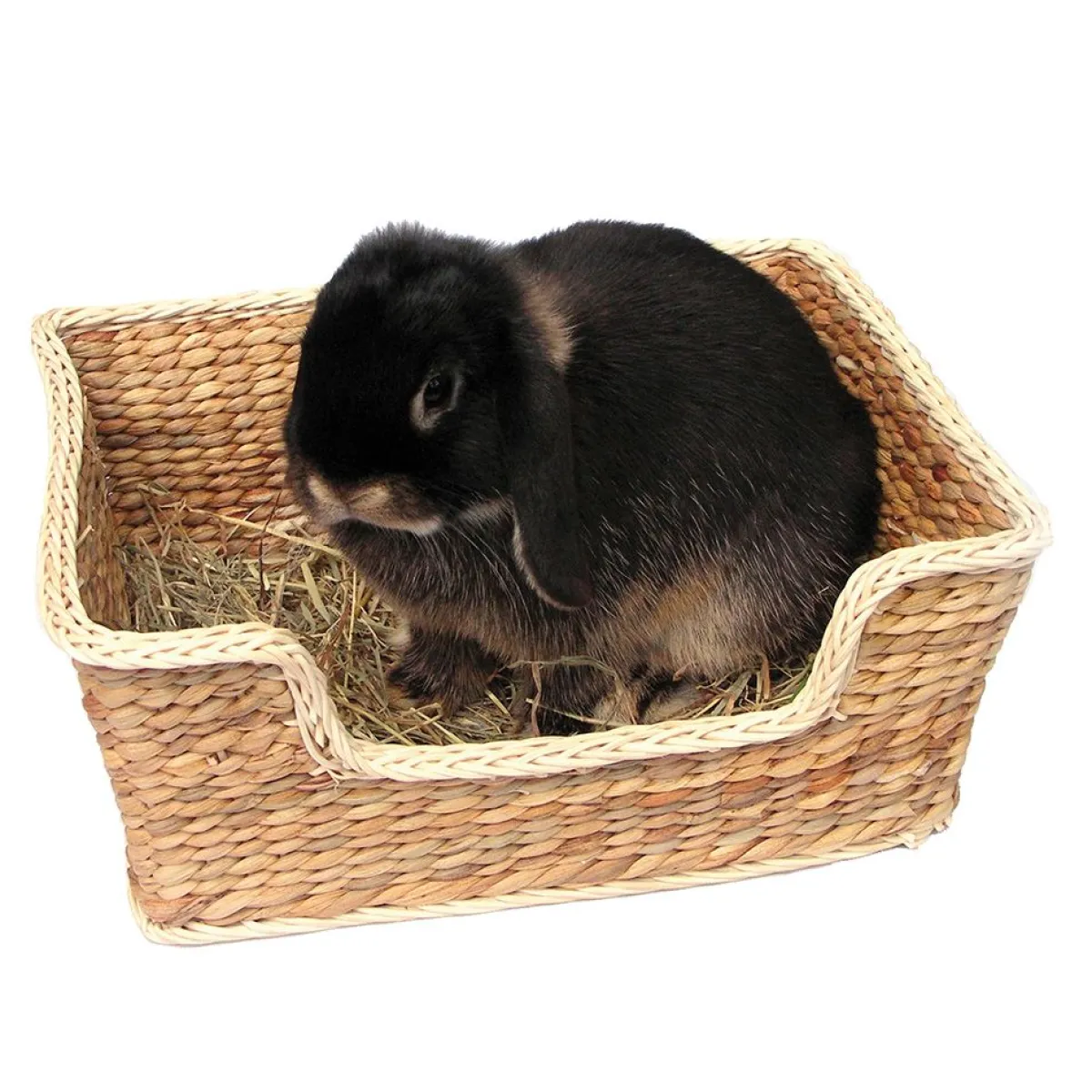 Peti Chill 'n' Snooze>Rosewood Outlet