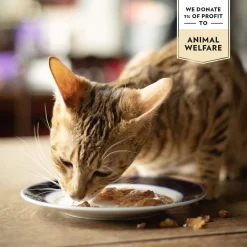 Classic valuepack 48x85g>PrimaCat Online