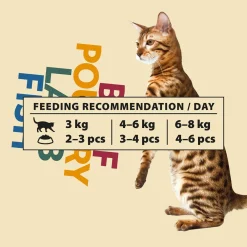 Classic valuepack 48x85g>PrimaCat Online