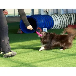 Bright patukka pehmeä, pinkki>Pro Dog Best