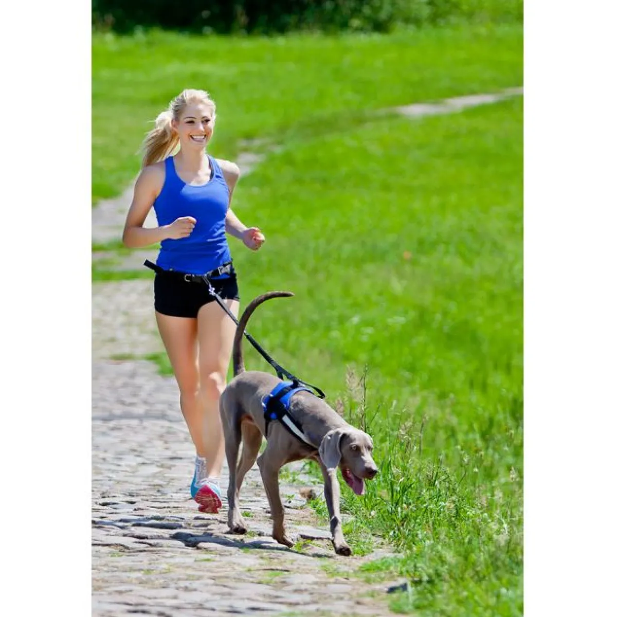 Handsfree setti>Pro Dog Sale