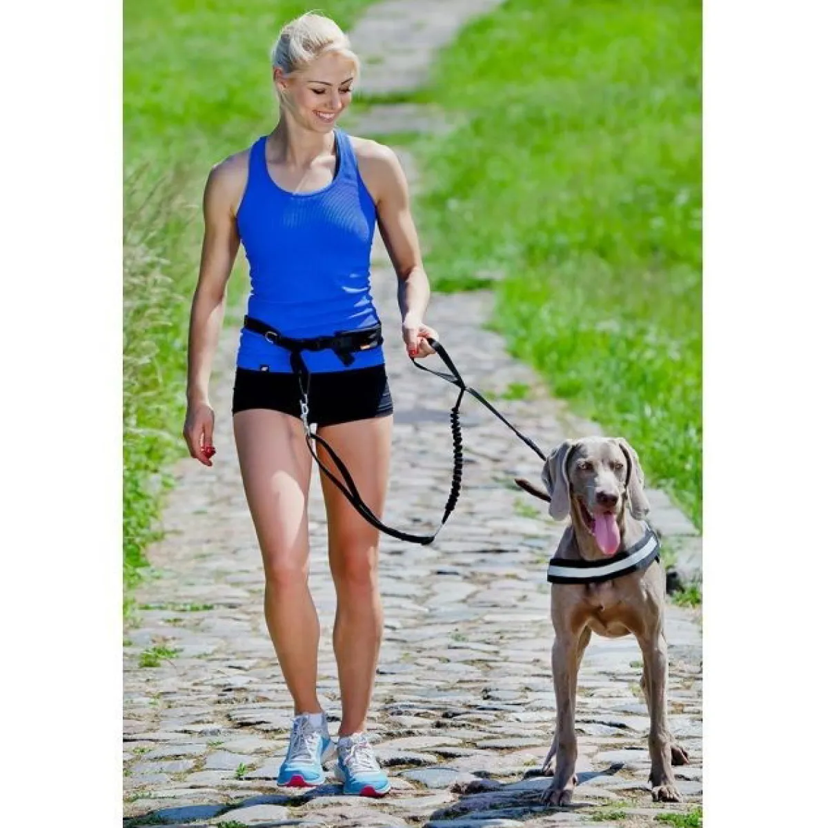 Handsfree setti>Pro Dog Sale