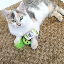 Hard Seltzpurr>Quirky Kitty Sale