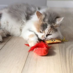 Ramen 2 kpl>Quirky Kitty