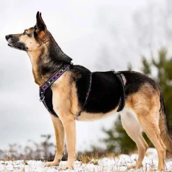 Rescue valjas stoppari, musta>FinNero Clearance