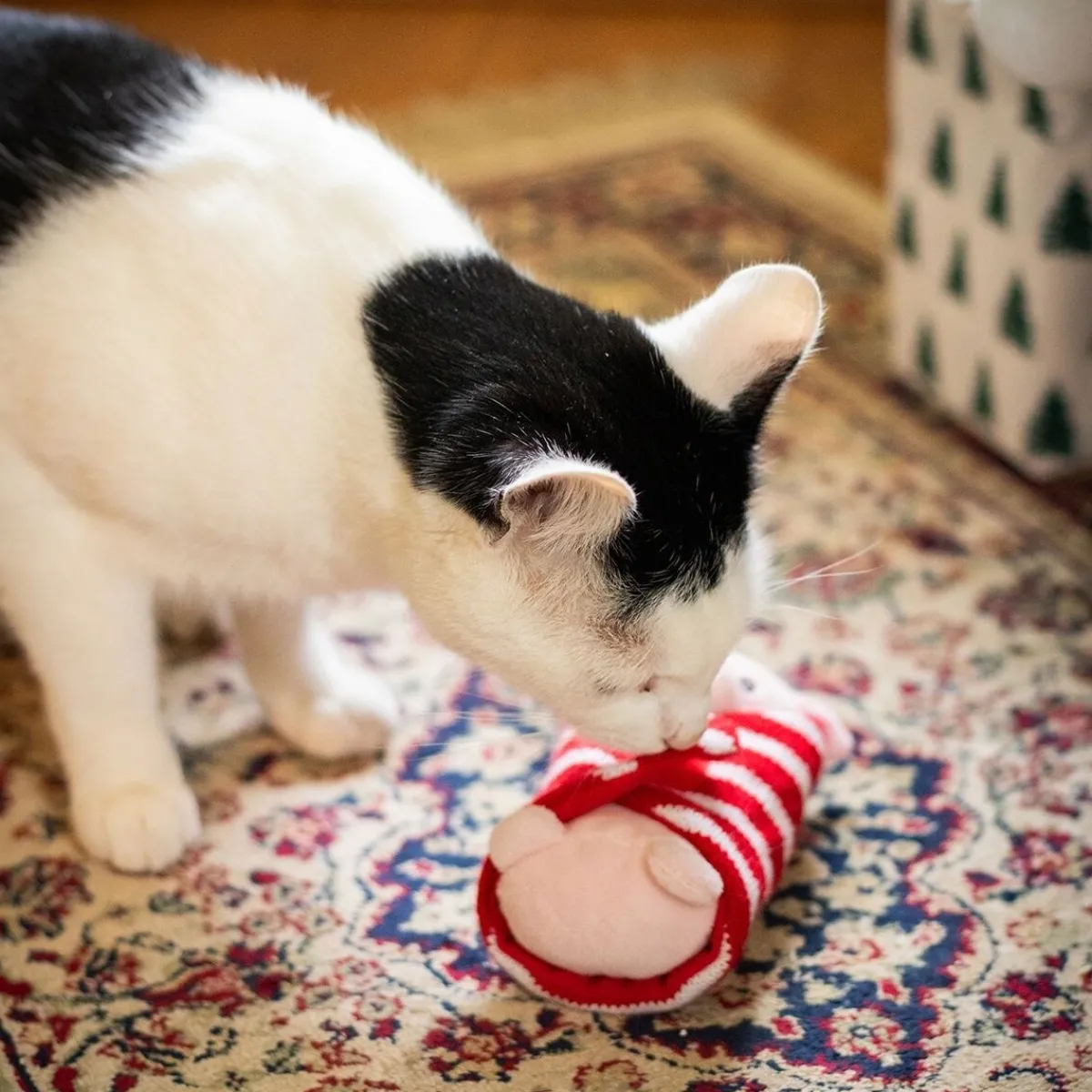 Penny Pig in Blanket Toy>Rosewood New