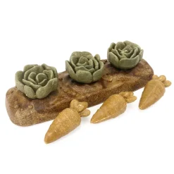 Veggie Burst Salad Patch>Rosewood Online