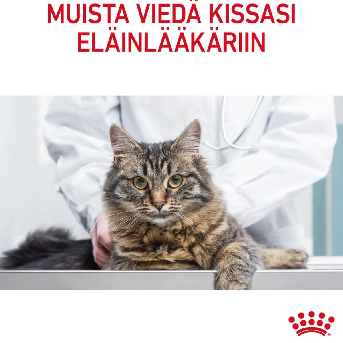 Appetite Control Care>Royal Canin New