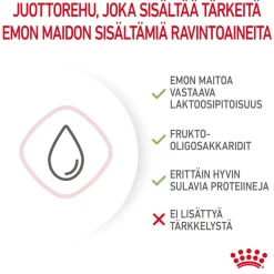 Babycat Milk, 300 g>Royal Canin Clearance
