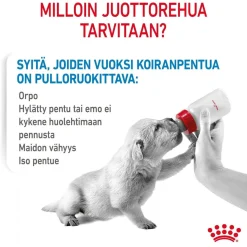 Babydog Milk>Royal Canin Outlet