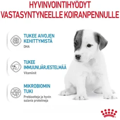 Babydog Milk>Royal Canin Outlet