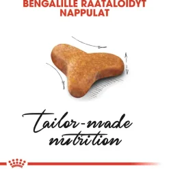 Bengal>Royal Canin