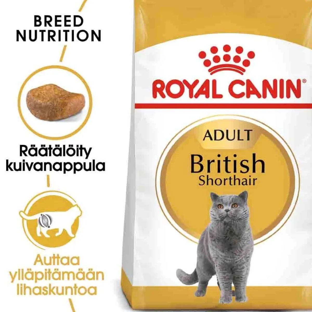 Breed British Shorthair>Royal Canin