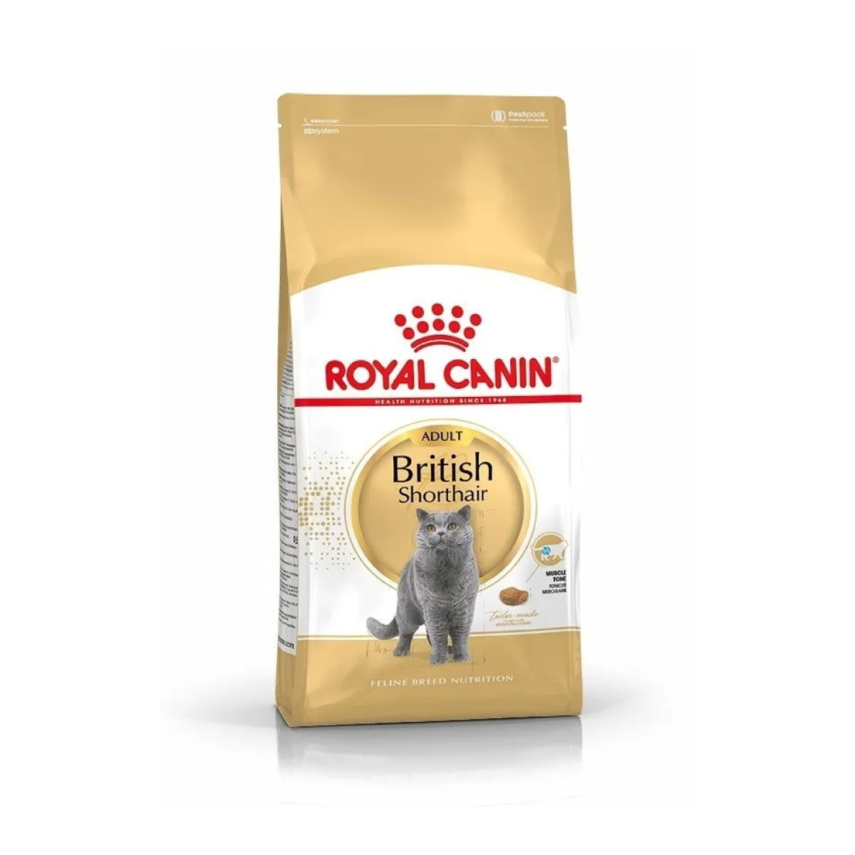 Breed British Shorthair>Royal Canin