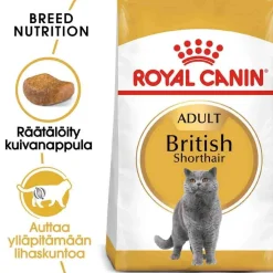 Breed British Shorthair>Royal Canin