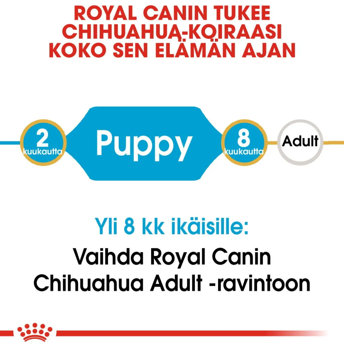 Breed Chihuahua Puppy>Royal Canin Clearance