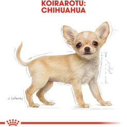 Breed Chihuahua Puppy>Royal Canin Clearance