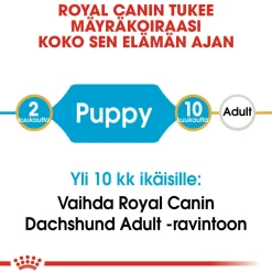 Breed Dachshund Puppy 1,5 kg>Royal Canin New