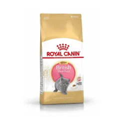 British Shorthair Kitten, 2 kg>Royal Canin Online