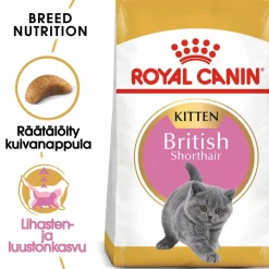 British Shorthair Kitten, 2 kg>Royal Canin Online