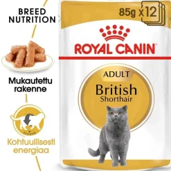 British Shorthair Wet 12 x 85g>Royal Canin Online