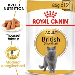British Shorthair 85g, 48-pack>Royal Canin Online