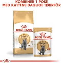 British Shorthair 85g, 48-pack>Royal Canin Online