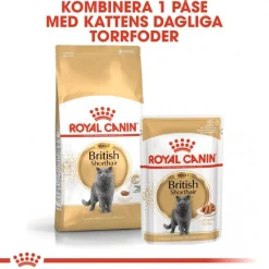 British Shorthair 85g, 48-pack>Royal Canin Online