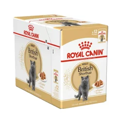 British Shorthair 85g, 48-pack>Royal Canin Online