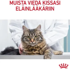 Cat Light Weight Care Jelly, 12 x 85 g>Royal Canin Online