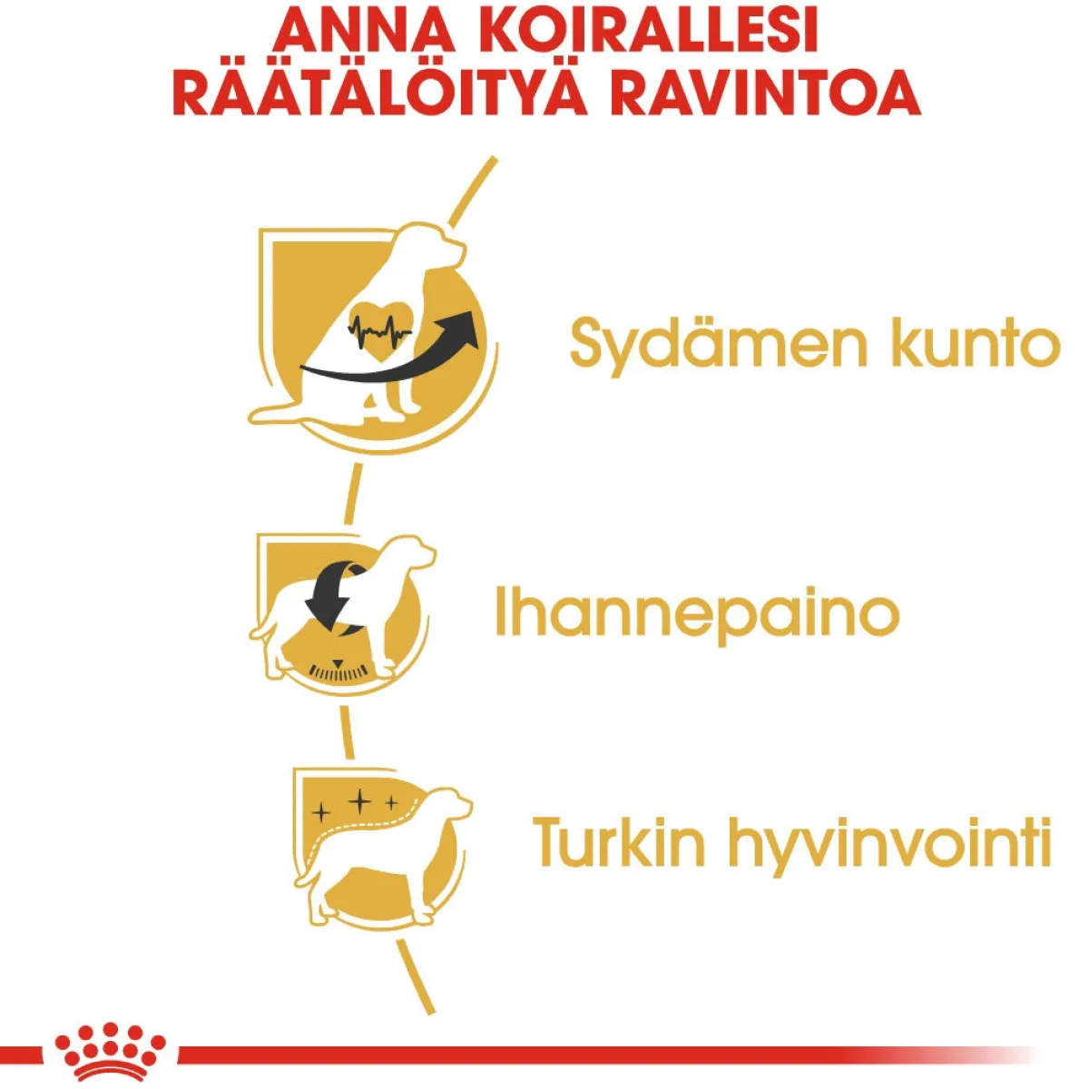 Cavalier Adult>Royal Canin Hot