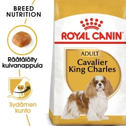 Cavalier Adult>Royal Canin Hot